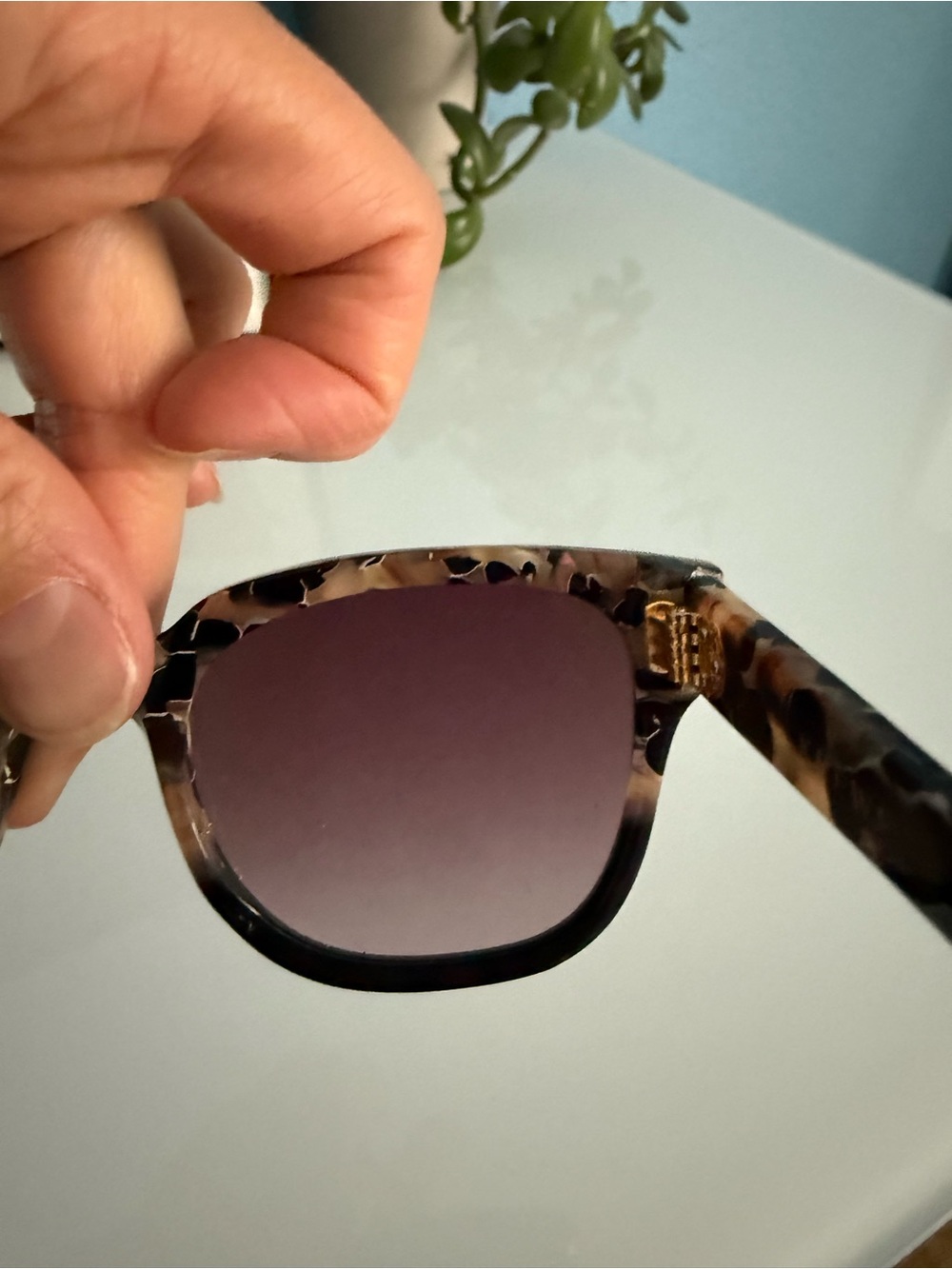 Krewe Webster Nylon Sunglasses - Crema to Black - Picture 8 of 10